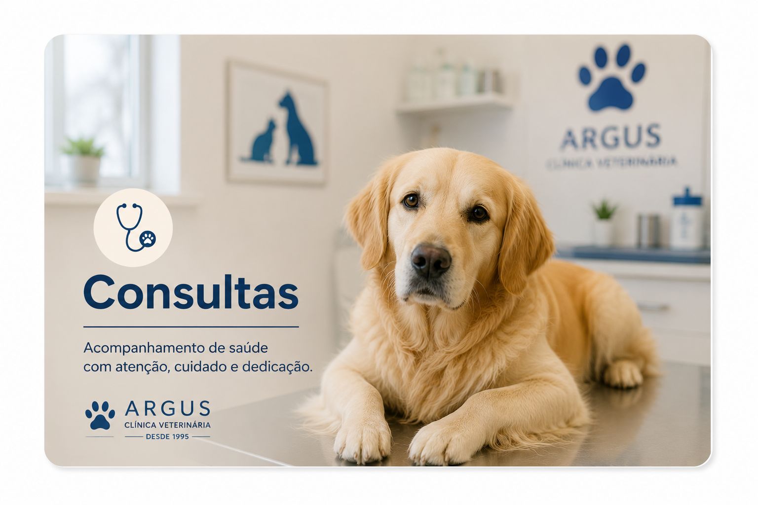 Consultas