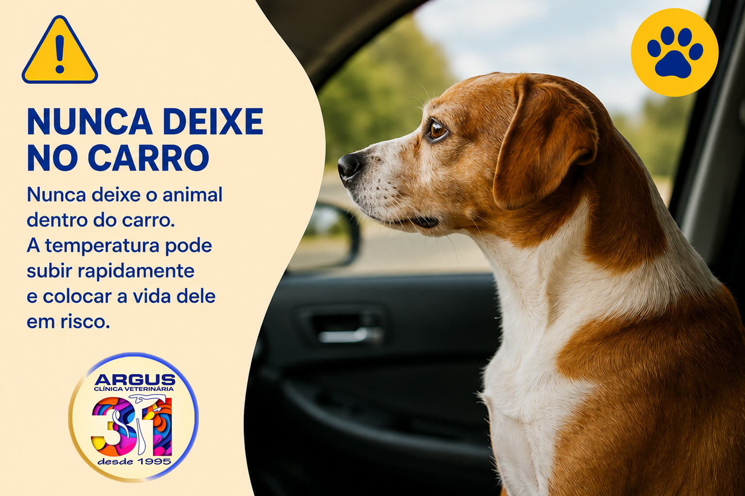 Nunca deixe o animal no carro