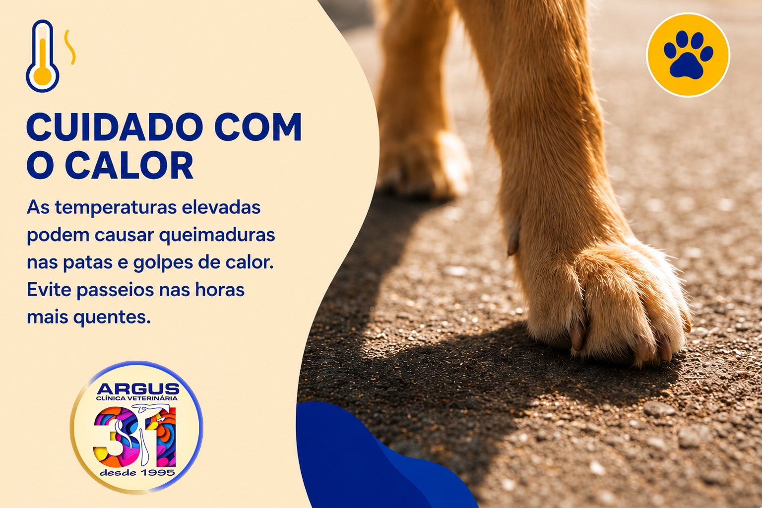 Cuidado com as patas no calor