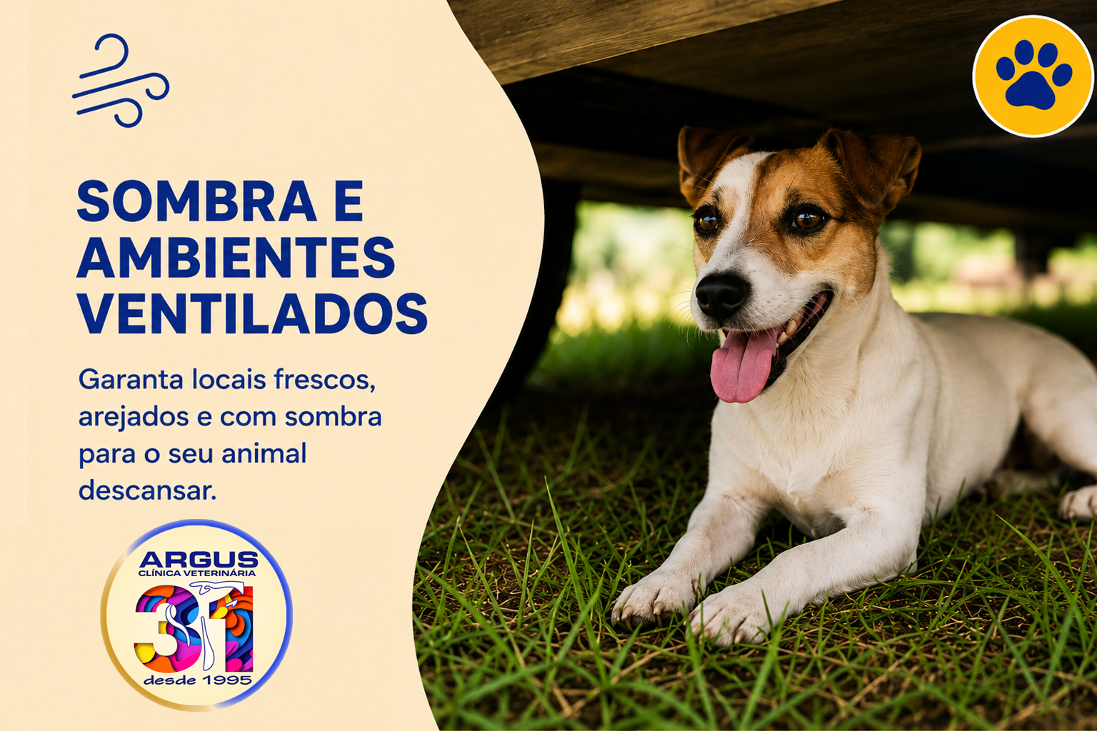 Sombra e ambientes ventilados