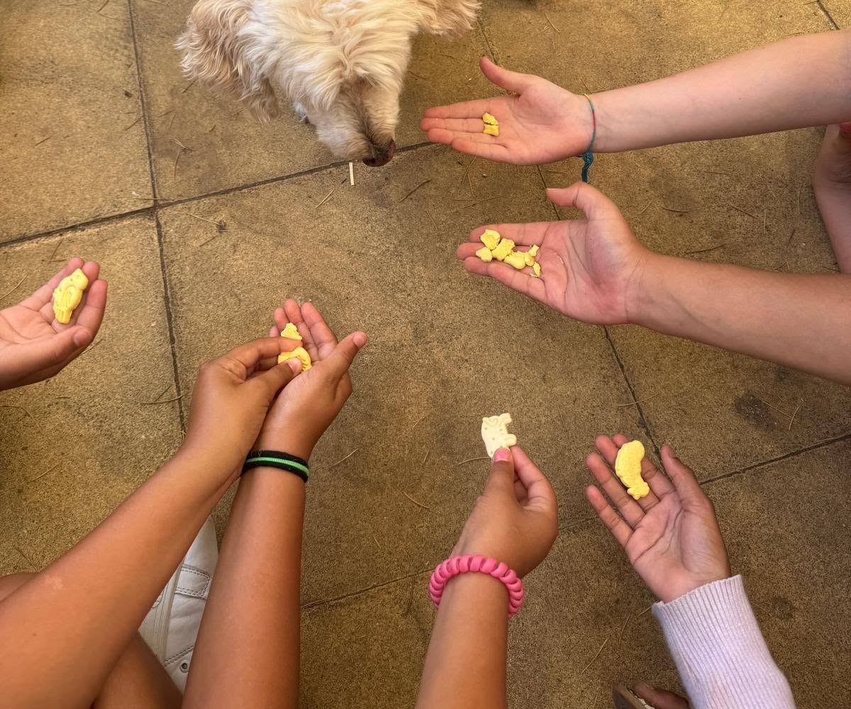 Um cão a cheirar petiscos nas mãos de crianças, num evento da Argus